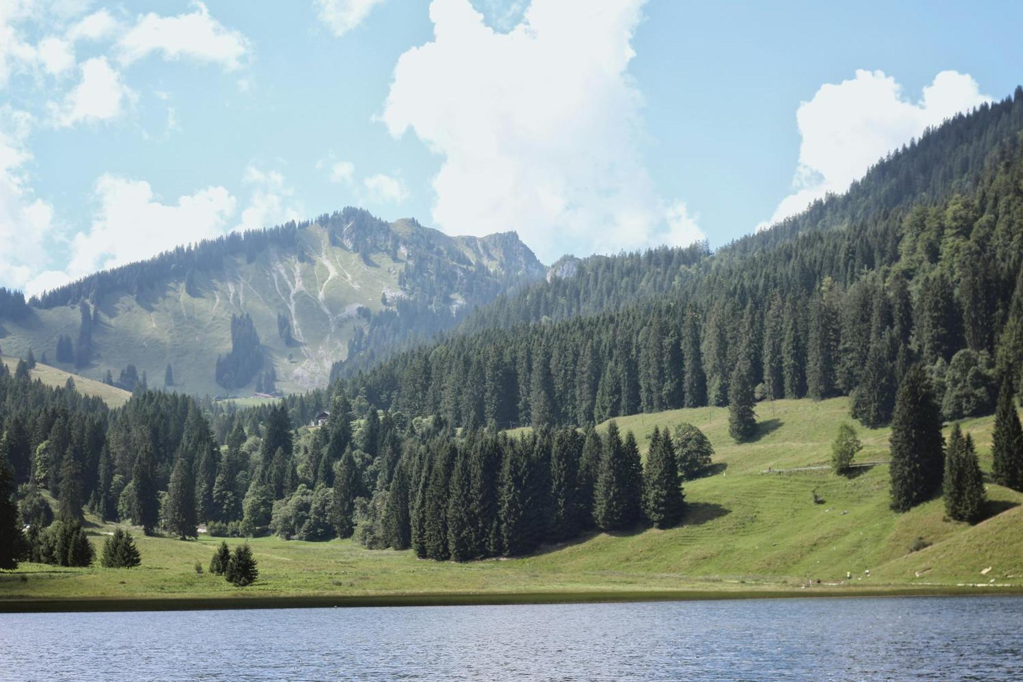 Ferienwohnung "Seeruhe" - Berge, See Und Natur Am Spitzingsee Schliersee Dış mekan fotoğraf